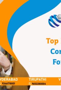 Top Education Consultants for France