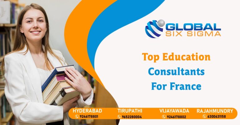 Top Education Consultants for France